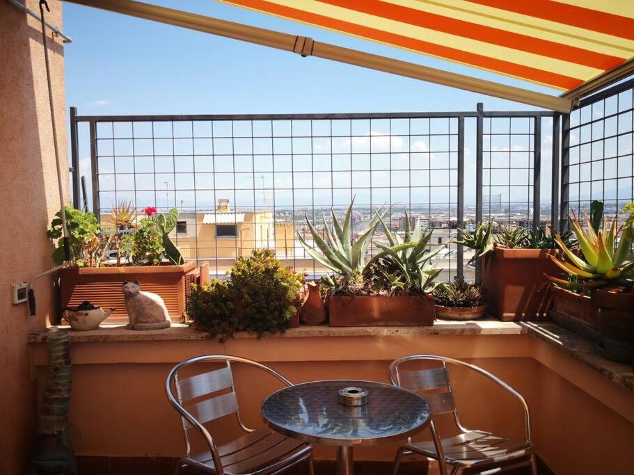 Rosa'S Terrace Roma Panoramic Penthouseアパートメント エクステリア 写真